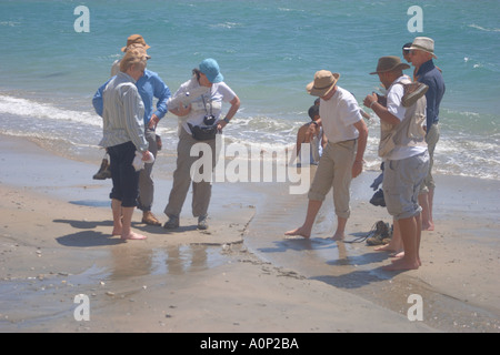 Les touristes pagayer dans le hot spings sur la plage à Hammam Faraon Pharaon s Hot Springs la Mer Rouge Sinaï Égypte Occidentale Banque D'Images