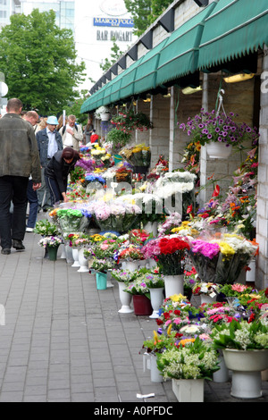 Marché aux fleurs dans la vieille ville de Tallinn Estonie Banque D'Images