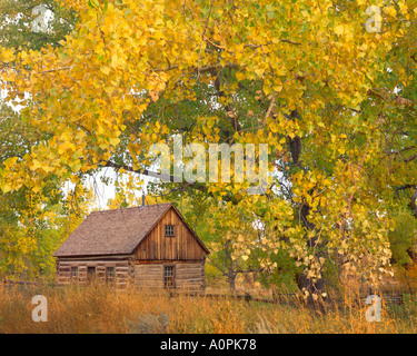 Chalet de la croix de Malte à Medora dans Automne Roosevelt s première cabane Parc National Theodore Roosevelt Dakota du Nord Banque D'Images