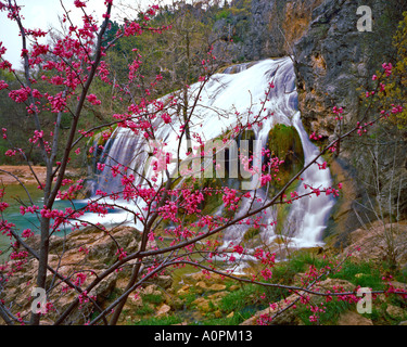 Turner Falls Printemps fleurs de montagnes Arbuckle Oklahoma - Lishui Banque D'Images