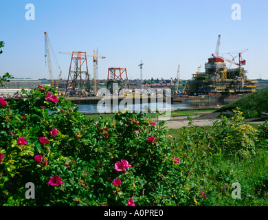 La construction plate-forme pétrolière en mer du Nord vu sur wild dog rose (rosa canina), Inc., tyneside, Tyne et Wear, Angleterre, Royaume-Uni. Banque D'Images