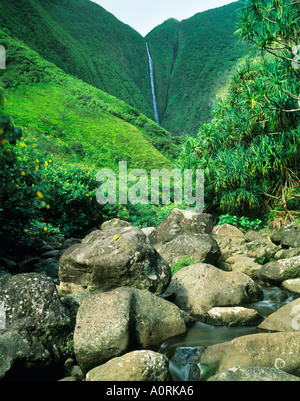 1200 Papalaua Papalaua pied des chutes de la vallée de l'île de Molokai Hawaii Banque D'Images