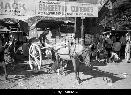 La tradition caractéristique cheval rural mule panier transporter des personnes occupés market village femme homme Udipi Karnataka Inde Asie du Sud Banque D'Images