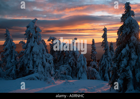 Paysage d’hiver Banque D'Images