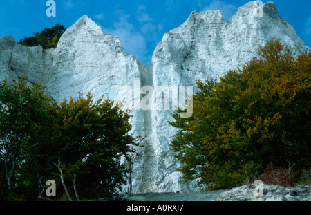 Craie Côte / / Kreidefelsenkueste Moen's Klint Banque D'Images