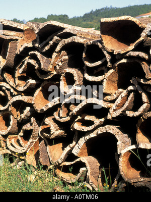 Écorce de liège comme matière première après le retrait de l'arbres de chêne liège au Portugal extérieur empilés Banque D'Images