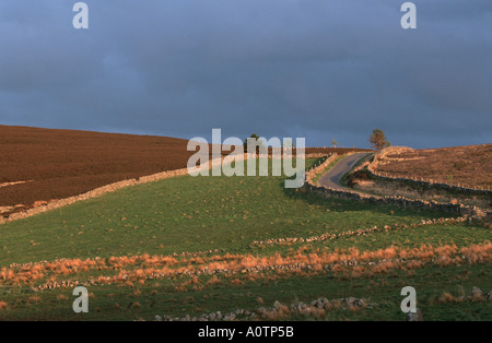 Mur en pierre et Glen Isla Angus Scotland ROAD Banque D'Images