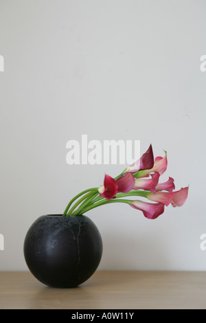 Close up de fleurs dans un vase Banque D'Images