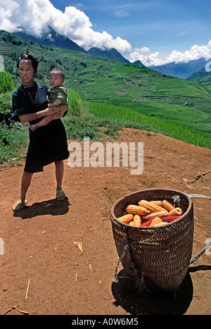 Femme de l'ethnie Hmong Hilltribe permanent groupe avec bébé à côté d'un panier d'épis de maïs et entouré de champs luxuriants Sapa Vietnam Banque D'Images