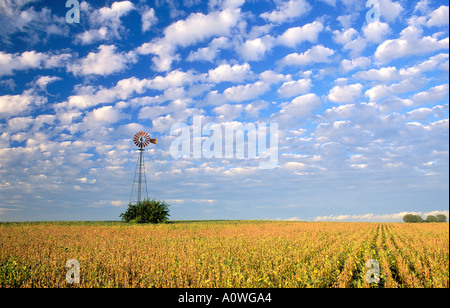 Moulin dans un champ de soja avec les formations de nuages cumulus dans l'Illinois central Banque D'Images