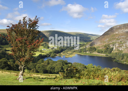 Dolymynach de réservoir de Birmingham qui tire son eau potable dans la vallée de l'Elan Mid Wales UK Banque D'Images