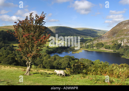 Dolymynach de réservoir de Birmingham qui tire son eau potable dans la vallée de l'Elan Mid Wales UK Banque D'Images