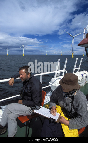 Le nombre d'oiseaux à partir d'un bateau en North Hoyle éolien off shore pour évaluer l'effet des 30 éoliennes sur les populations d'oiseaux Banque D'Images