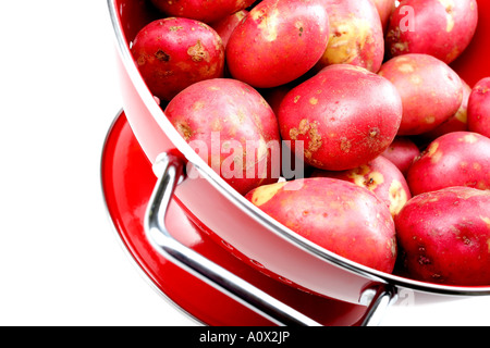 Nettoyer les pommes de terre rouges frais crus avec aucun peuple Banque D'Images