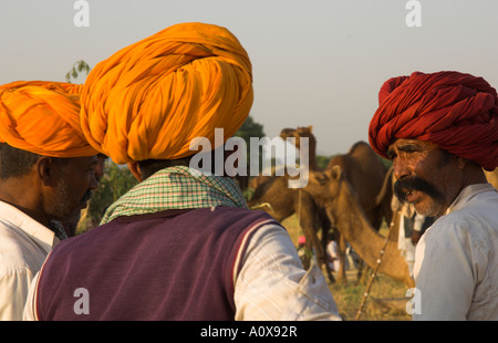 Inde Rajasthan Pushkar Mela chameau énorme et les bovins juste pour les tribus nomades semi portrait de 3 hommes avec de grands turbans parler tog Banque D'Images