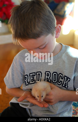 Garçon avec gerbille animal Banque D'Images