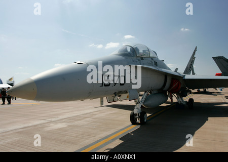 Spanish Air Force McDonnell Douglas EF UN 18B Hornet avec Tiger Meet 2005 riat de l'empennage RAF Fairford Gloucestershire England UK Banque D'Images