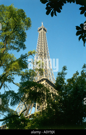 La Tour Eiffel vue derrière des arbres Paris Banque D'Images