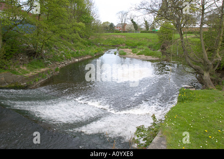 Weir sur la rivière Yarrow Lancashire England Banque D'Images