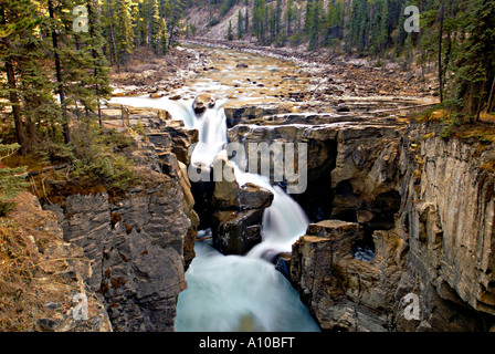 Sunwapta Falls 2 Banque D'Images