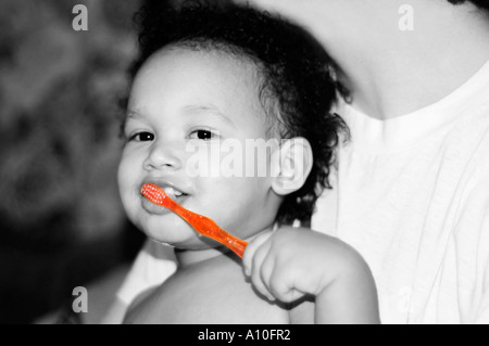 Stock Photo de l'enfant américain d'origine jamaïcaine se brosser les dents dans la Dad s Lap Banque D'Images