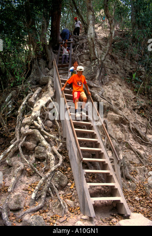 Les touristes, escaliers, Temple IV, Tikal, parc national de Tikal, El Petén, El Petén, Guatemala, Ministère de l'Amérique centrale Banque D'Images