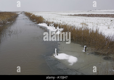 Digue côtière en hiver avec la neige et le pâturage marsh Salthouse North Norfolk UK Banque D'Images