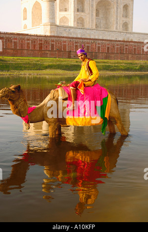 Jeune homme monté sur un chameau est de retour dans la rivière, Taj Mahal, Agra, Uttar Pradesh, Inde Banque D'Images