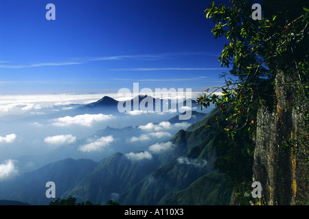 Vue vers la haute vallée de roches pilier dans Kodaikanal Hill Station sud de l'Inde Banque D'Images