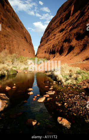 Les deux dômes de la Vallée des vents, Olgas / Kata Tjuta, Centre Rouge, Territoire du Nord, Australie Banque D'Images