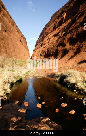 Les deux dômes de la Vallée des vents à pied, Olgas / Kata Tjuta, Centre Rouge, Territoire du Nord, Australie Banque D'Images