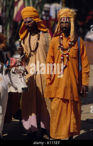 Décorées avec des hommes saints cow Pushkar Pushkar Rajasthan Inde juste Chameau Banque D'Images