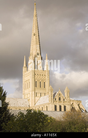 Cathédrale de Norwich Banque D'Images