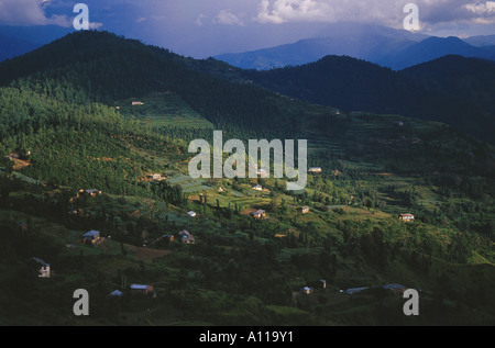 Vue de Cedar Heights Stations à Koti près de Shimla Himachal Pradesh, Inde Banque D'Images