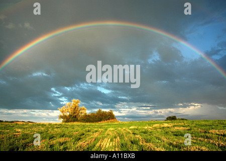 Un arc-en-ciel lumineux arches sur un terrain Français Banque D'Images