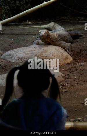 Dragon de Komodo Varanus komodoensis captif à l'enfant le regarder Banque D'Images