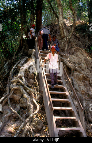 Les touristes, escaliers, Temple IV, Tikal, parc national de Tikal, El Petén, El Petén, Guatemala, Ministère de l'Amérique centrale Banque D'Images