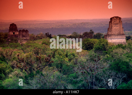 Temple, jungle, jungle canopy, Tikal, parc national de Tikal, El Petén, El Petén, Guatemala Ministère Banque D'Images