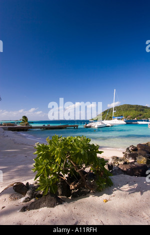 Voile & Bateaux, Pearl Beach Resort, Bora Bora Lagoon, Polynésie Française, Banque D'Images