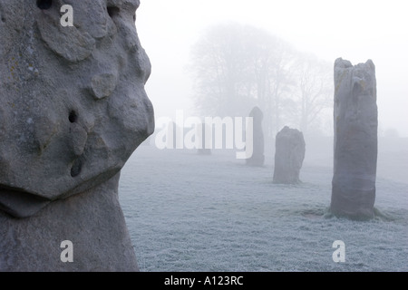 Avebury Stone Circle enveloppée de brouillard sur un matin d'hiver glacial Banque D'Images
