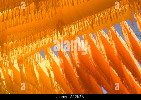 Tissu teint au séchage Dyers souk à Marrakech Maroc Banque D'Images