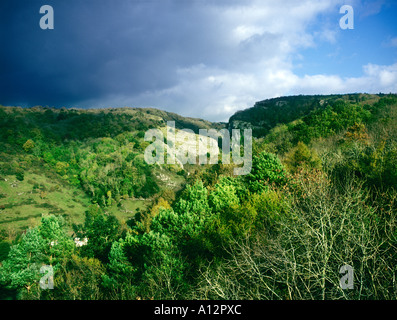 Cheddar Gorge Angleterre Somerset Banque D'Images