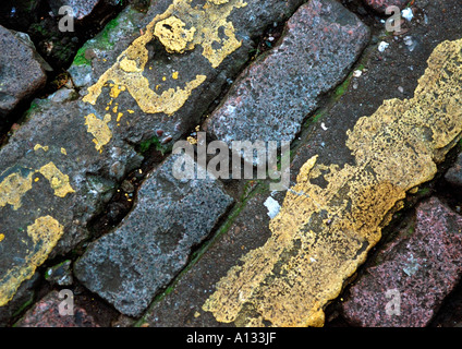 Lignes jaunes peints sur les pavés, Banque D'Images