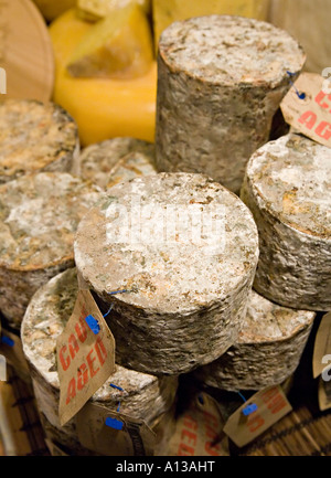 Cave de fromage mûri de Somerset enveloppée de tissu pour lui permettre de respirer England UK Banque D'Images