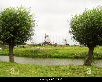 Paysage typiquement hollandais avec les moulins à vent de Zaanse Schans Pays-Bas Banque D'Images