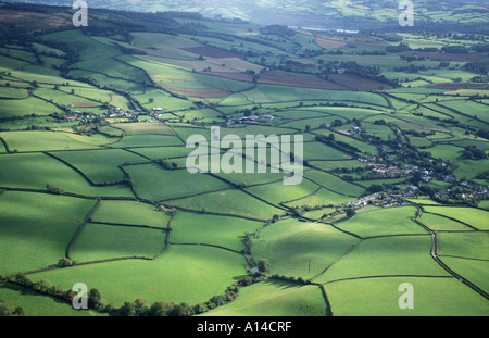 Mosaïque de champs dans la région de South Hams District de South Devon, Angleterre Banque D'Images