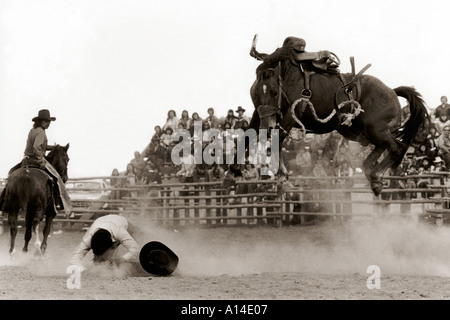 Avec : frapper le sol après avoir été jeté d'un cheval de selle bronc Banque D'Images