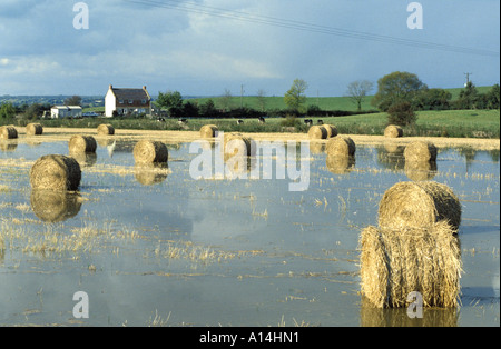 Champs inondés avec hay bails sur les terres agricoles sur les niveaux de Somerset Somerset Banque D'Images