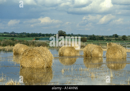 Champs inondés avec hay bails sur les terres agricoles sur les niveaux de Somerset Banque D'Images