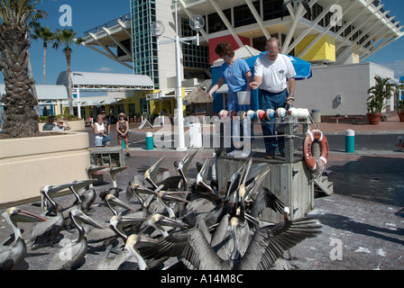 La jetée dans le golfe du Mexique est une attraction populaire au centre-ville de St Petersburg en Floride avec la ville en vue Banque D'Images